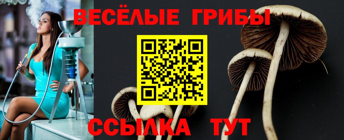 Псилоцибиновые грибы прущие грибы  Вход с VPN  Медногорск 